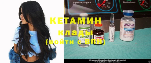 прущие грибы Волоколамск