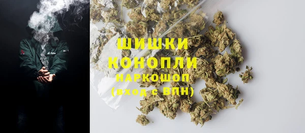 прущие грибы Верхний Тагил