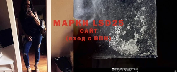 прущие грибы Волоколамск