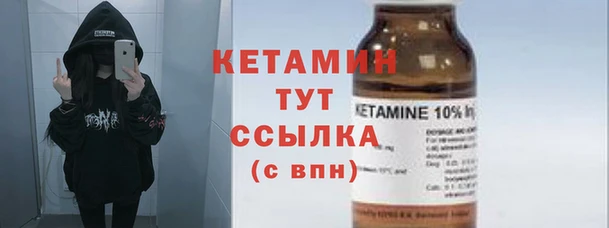 прущие грибы Верхний Тагил