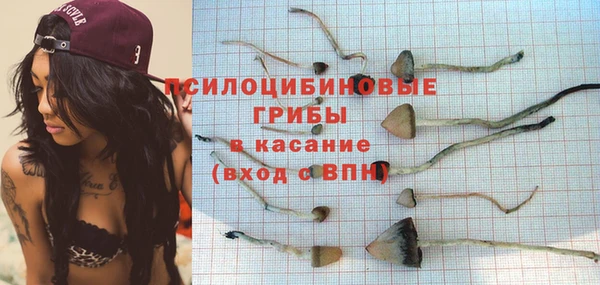 шишки Слюдянка