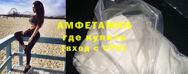 прущие грибы Верхний Тагил