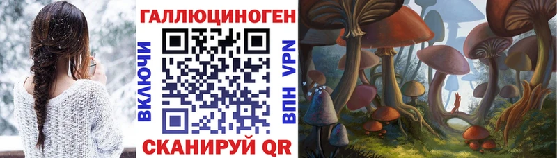 Галлюциногенные грибы Cubensis  Юрга 
