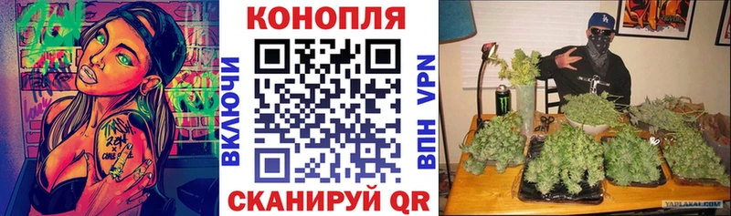 где можно купить наркотик  Юрга  Бошки марихуана индика 